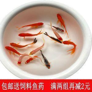名教