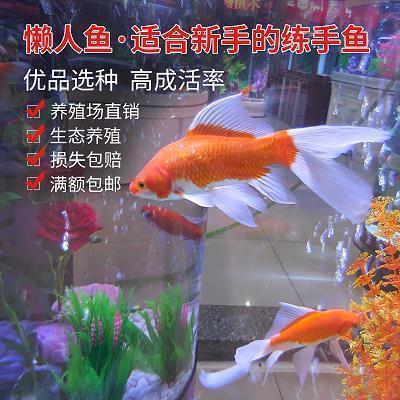 哑咽