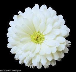 藄