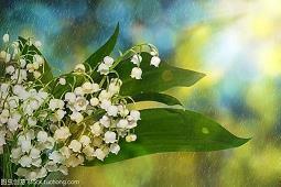 繤