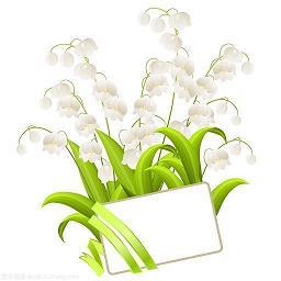 龎