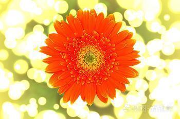 散花