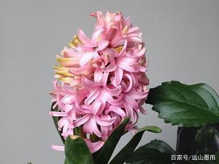 按牍