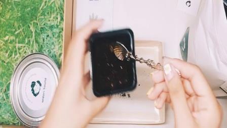 摈退