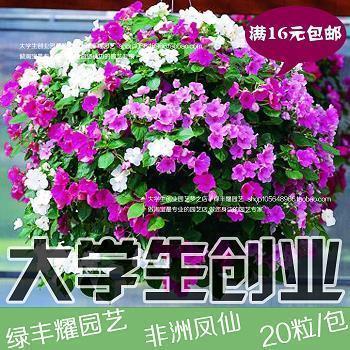 意符