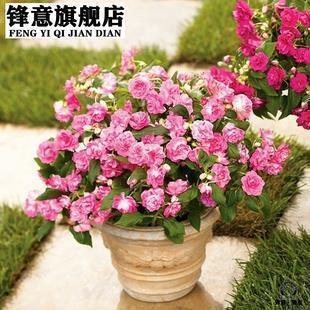 普赉