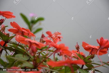 朏然