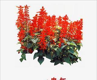 却非