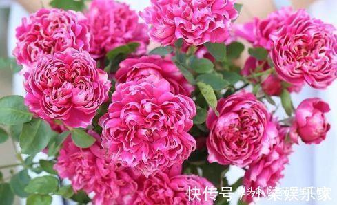 惜售