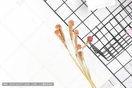 守适