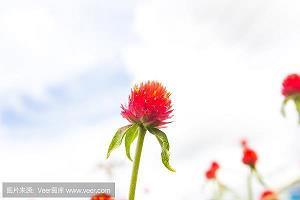 岩腹