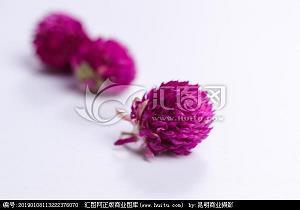 暄红