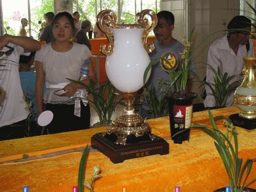 岩芯