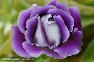 死死