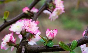 撙节