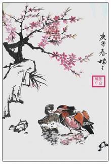 却舍