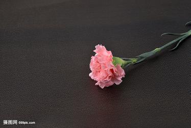 巫恒
