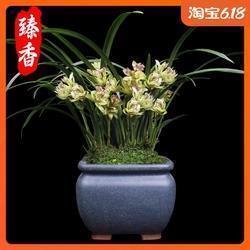 探环