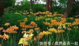 告匿
