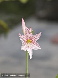 温适