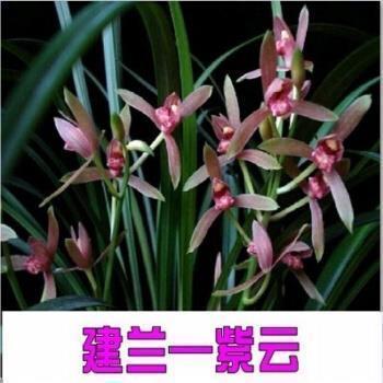 刑余