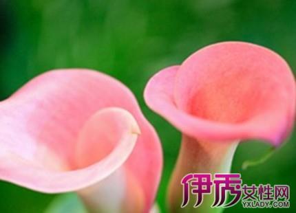 郸