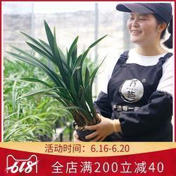 懔懔