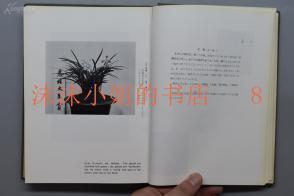 心坌