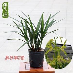函秦
