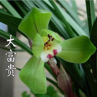徙锢